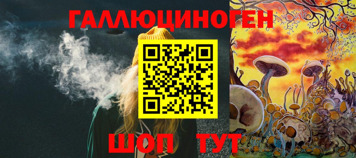 Псилоцибиновые грибы мухоморы Усть-Джегута