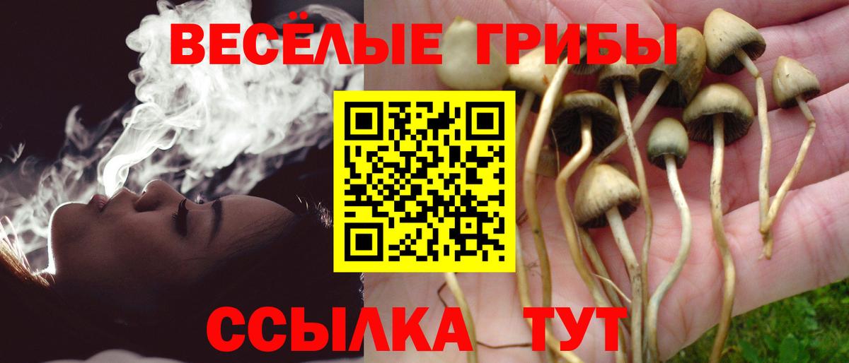 Усть-Джегута  Псилоцибиновые грибы мицелий  Вход с VPN 